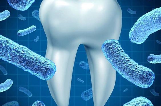 4-dental-hygiene-tips-for-lifelong-healthy-teeth-and-gums