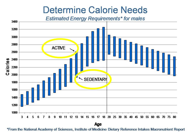 How To Count Your Calories For A Healthy Living - My Health Fitness Tips