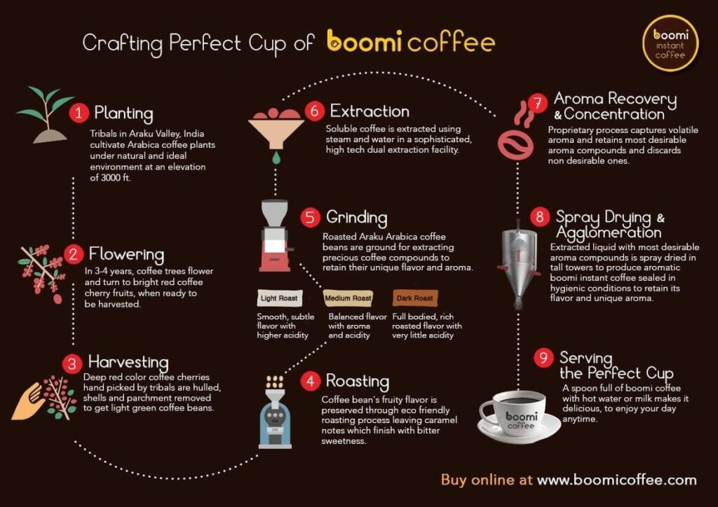 Boomi Coffee Infographics - Crafting Perfect Cup